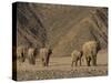 Herd of Desert-Dwelling Elephant, Namibia, Africa-Milse Thorsten-Stretched Canvas