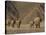 Herd of Desert-Dwelling Elephant, Namibia, Africa-Milse Thorsten-Stretched Canvas