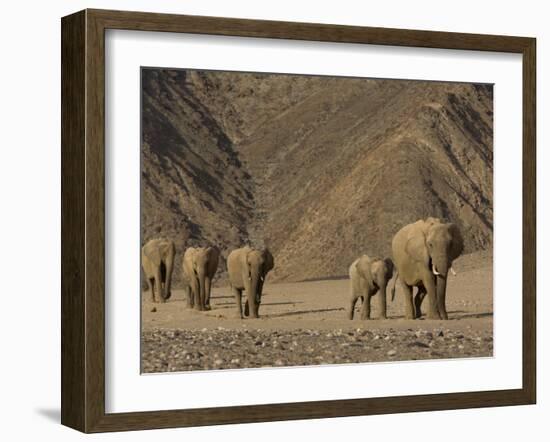 Herd of Desert-Dwelling Elephant, Namibia, Africa-Milse Thorsten-Framed Photographic Print