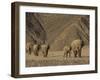 Herd of Desert-Dwelling Elephant, Namibia, Africa-Milse Thorsten-Framed Photographic Print