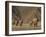 Herd of Desert-Dwelling Elephant, Namibia, Africa-Milse Thorsten-Framed Photographic Print