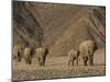 Herd of Desert-Dwelling Elephant, Namibia, Africa-Milse Thorsten-Mounted Photographic Print