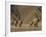 Herd of Desert-Dwelling Elephant, Namibia, Africa-Milse Thorsten-Framed Photographic Print