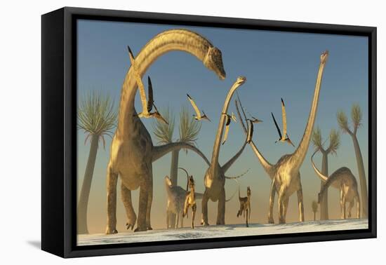 Herd of Diplodocus Dinosaurs-null-Framed Stretched Canvas