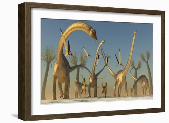 Herd of Diplodocus Dinosaurs-null-Framed Art Print