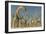 Herd of Diplodocus Dinosaurs-null-Framed Art Print