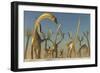 Herd of Diplodocus Dinosaurs-null-Framed Art Print