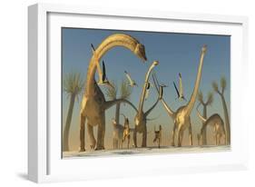 Herd of Diplodocus Dinosaurs-null-Framed Art Print