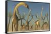 Herd of Diplodocus Dinosaurs-null-Framed Stretched Canvas