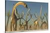 Herd of Diplodocus Dinosaurs-null-Stretched Canvas