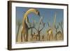 Herd of Diplodocus Dinosaurs-null-Framed Art Print