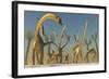 Herd of Diplodocus Dinosaurs-null-Framed Art Print