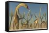 Herd of Diplodocus Dinosaurs-null-Framed Stretched Canvas