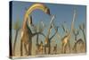 Herd of Diplodocus Dinosaurs-null-Stretched Canvas