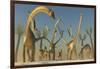 Herd of Diplodocus Dinosaurs-null-Framed Art Print