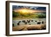 Herd of Elephants Bathing in the Jungle River of Sri Lanka-Givaga-Framed Photographic Print