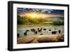 Herd of Elephants Bathing in the Jungle River of Sri Lanka-Givaga-Framed Photographic Print