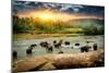 Herd of Elephants Bathing in the Jungle River of Sri Lanka-Givaga-Mounted Photographic Print