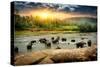 Herd of Elephants Bathing in the Jungle River of Sri Lanka-Givaga-Stretched Canvas