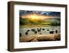 Herd of Elephants Bathing in the Jungle River of Sri Lanka-Givaga-Framed Photographic Print