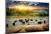 Herd of Elephants Bathing in the Jungle River of Sri Lanka-Givaga-Mounted Photographic Print