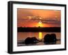 Herd of Elephants, Chobe River at Sunset, Chobe National Park, Botswana-Paul Souders-Framed Premium Photographic Print