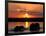 Herd of Elephants, Chobe River at Sunset, Chobe National Park, Botswana-Paul Souders-Framed Photographic Print