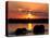 Herd of Elephants, Chobe River at Sunset, Chobe National Park, Botswana-Paul Souders-Stretched Canvas