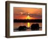 Herd of Elephants, Chobe River at Sunset, Chobe National Park, Botswana-Paul Souders-Framed Photographic Print