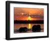 Herd of Elephants, Chobe River at Sunset, Chobe National Park, Botswana-Paul Souders-Framed Photographic Print