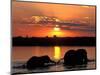 Herd of Elephants, Chobe River at Sunset, Chobe National Park, Botswana-Paul Souders-Mounted Photographic Print