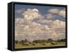 Herd of Elephants, Etosha National Park, Namibia-Walter Bibikow-Framed Stretched Canvas