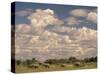 Herd of Elephants, Etosha National Park, Namibia-Walter Bibikow-Stretched Canvas
