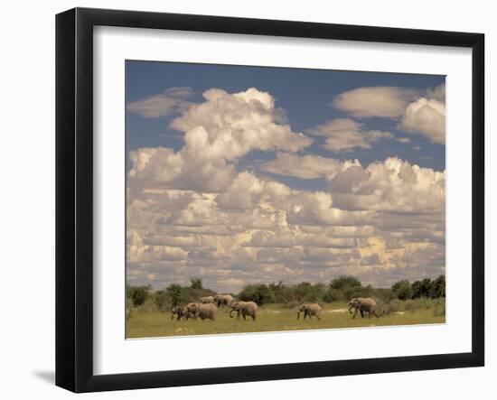 Herd of Elephants, Etosha National Park, Namibia-Walter Bibikow-Framed Premium Photographic Print