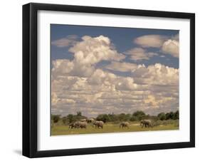 Herd of Elephants, Etosha National Park, Namibia-Walter Bibikow-Framed Premium Photographic Print