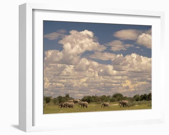 Herd of Elephants, Etosha National Park, Namibia-Walter Bibikow-Framed Premium Photographic Print