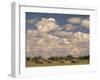 Herd of Elephants, Etosha National Park, Namibia-Walter Bibikow-Framed Premium Photographic Print