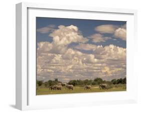 Herd of Elephants, Etosha National Park, Namibia-Walter Bibikow-Framed Premium Photographic Print