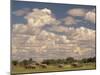 Herd of Elephants, Etosha National Park, Namibia-Walter Bibikow-Mounted Premium Photographic Print