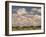 Herd of Elephants, Etosha National Park, Namibia-Walter Bibikow-Framed Photographic Print