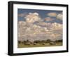 Herd of Elephants, Etosha National Park, Namibia-Walter Bibikow-Framed Photographic Print