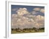 Herd of Elephants, Etosha National Park, Namibia-Walter Bibikow-Framed Photographic Print