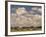 Herd of Elephants, Etosha National Park, Namibia-Walter Bibikow-Framed Photographic Print