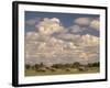 Herd of Elephants, Etosha National Park, Namibia-Walter Bibikow-Framed Photographic Print