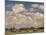 Herd of Elephants, Etosha National Park, Namibia-Walter Bibikow-Mounted Photographic Print