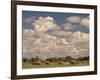 Herd of Elephants, Etosha National Park, Namibia-Walter Bibikow-Framed Photographic Print