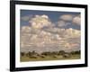 Herd of Elephants, Etosha National Park, Namibia-Walter Bibikow-Framed Photographic Print