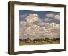 Herd of Elephants, Etosha National Park, Namibia-Walter Bibikow-Framed Photographic Print