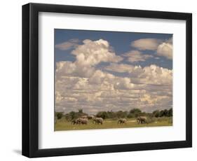 Herd of Elephants, Etosha National Park, Namibia-Walter Bibikow-Framed Photographic Print