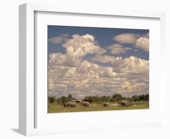 Herd of Elephants, Etosha National Park, Namibia-Walter Bibikow-Framed Photographic Print